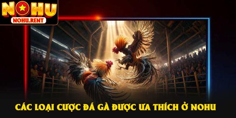 Các loại cược đá gà được ưa thích ở NOHU