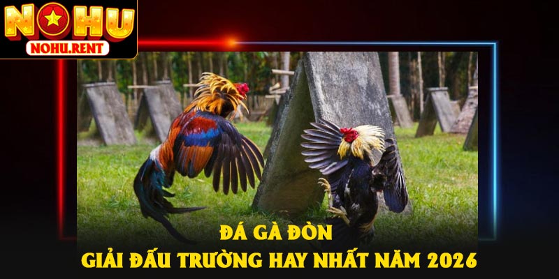 Đá Gà Đòn – Giải Đấu Trường Hay Nhất Năm 2026