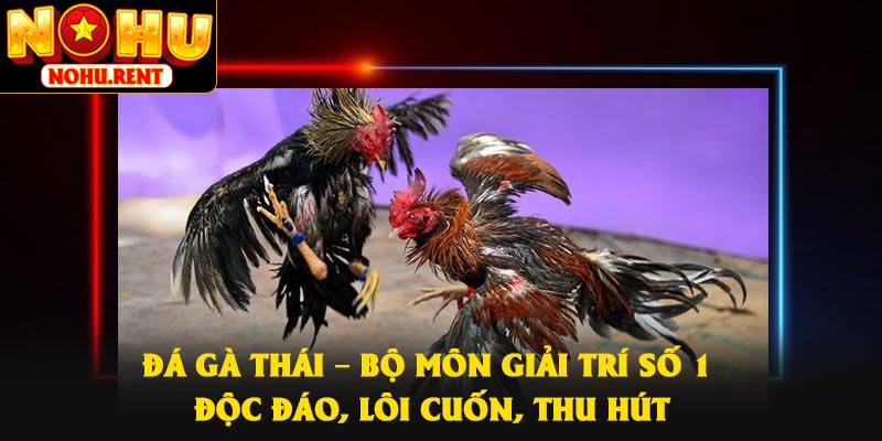 Đá Gà Thái – Bộ Môn Giải Trí Số 1 Độc Đáo, Lôi cuốn, Thu Hút