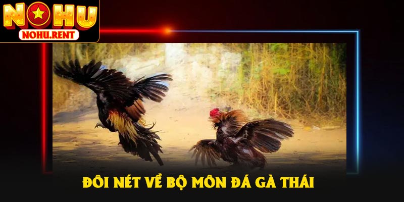 Đôi nét về bộ môn đá gà Thái