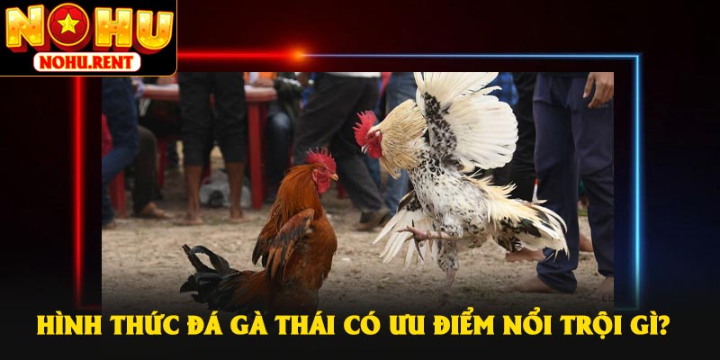 Hình thức đá gà Thái có ưu điểm nổi trội gì?