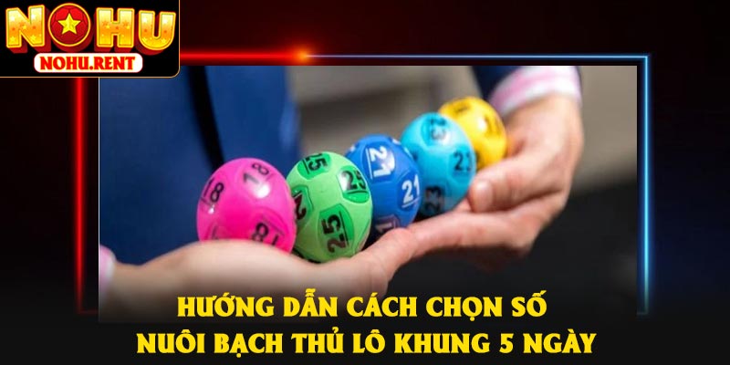 Hướng dẫn cách chọn số nuôi bạch thủ lô khung 5 ngày